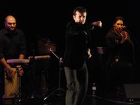 tanz_ist_cuadro_flamenco__18.jpg