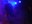 the_nightingales_04.jpg