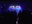 the_nightingales_05.jpg