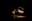 tanz_ist_the-swan_c_darko-todorovic_03.jpg