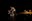 tanz_ist_the-swan_c_darko-todorovic_04.jpg