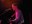 ezra-furman_02.jpg