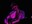ezra-furman_03.jpg
