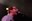 TheOmission 05