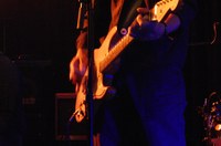 sonofthevelvetrat_01.jpg