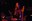 sonofthevelvetrat_04.jpg