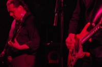 sonofthevelvetrat_09.jpg