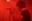 giantree_08.jpg