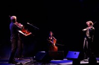 radiostringquartetvienna_03.jpg