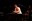 mariannemendt_jazznachwuchs_11.jpg