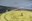 the_perfect_garden_02.jpg
