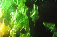 the_perfect_garden_03.jpg
