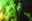 the_perfect_garden_03.jpg