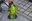 the_perfect_garden_04.jpg