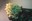 the_perfect_garden_28.jpg
