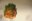 the_perfect_garden_29.jpg