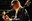 lambchop_11.jpg