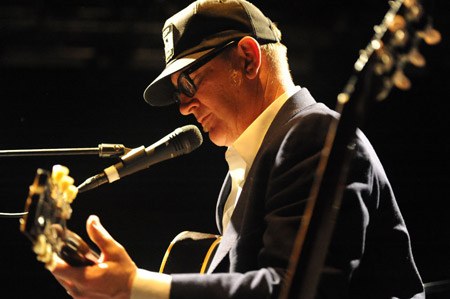 lambchop_11.jpg
