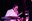 rtfm bluemondaybluesband stator 07