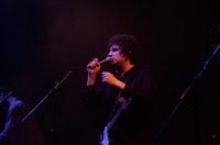 CagedAnimals 07