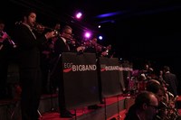 ChicagoNight 01