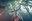 Soundsnoise 14 FR BY MATTHIAS RHOMBERG 049