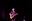 Oysterband 02
