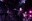 Oysterband 05