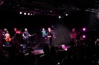 Oysterband 08
