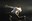 JamesWilton_39.JPG