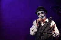 TigerLillies©LukasHaemmerle 01