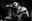 TigerLillies©LukasHaemmerle 09