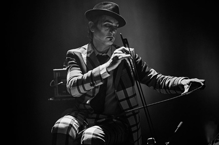 TigerLillies©LukasHaemmerle 10
