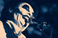 TigerLillies©LukasHaemmerle 11