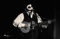 TigerLillies©LukasHaemmerle 13