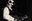 TigerLillies©LukasHaemmerle 15