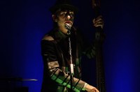 TigerLillies©LukasHaemmerle 16