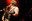 TigerLillies©StefanHauer 01