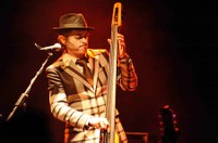 TigerLillies©StefanHauer 04