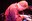 DaveKingTrio 6