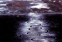 Filmreihe Kunst und Natur - Rivers and Tides – Andy Goldsworthy Working with Time