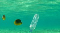 Filmreihe „Der Wert von Tier und Wasser!“ – Abgefüllt.  Die Wahrheit über Wasser in Flaschen